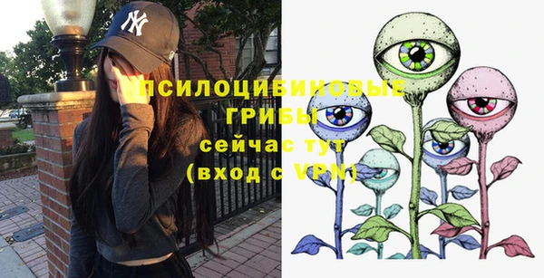 прущая мука Армянск