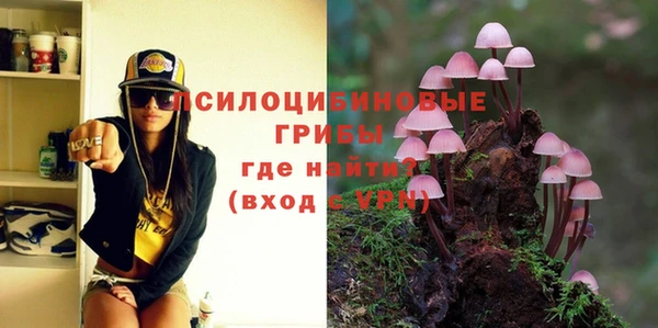прущая мука Армянск